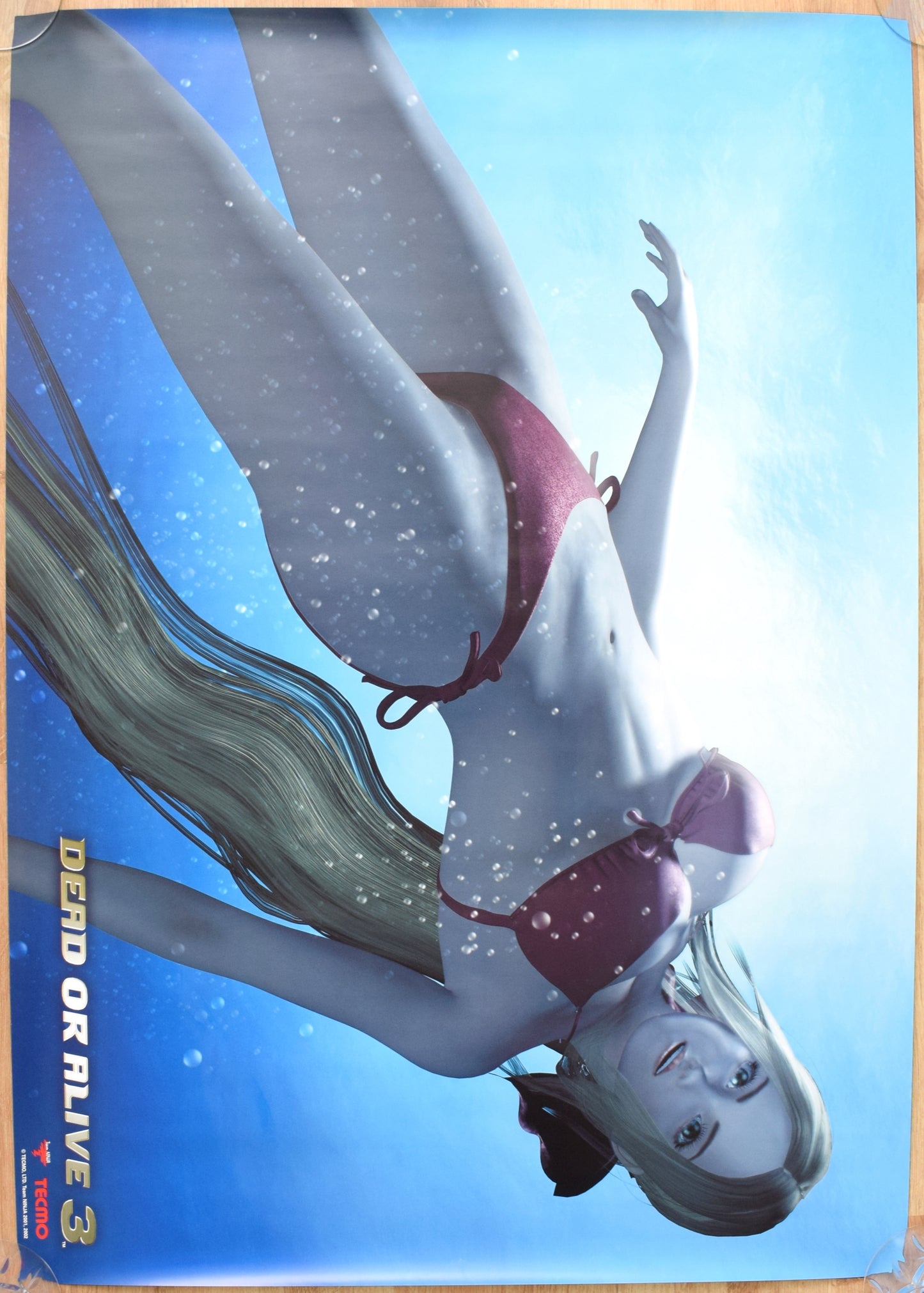 Dead or Alive 3 (B2) Japanese Promotional Poster