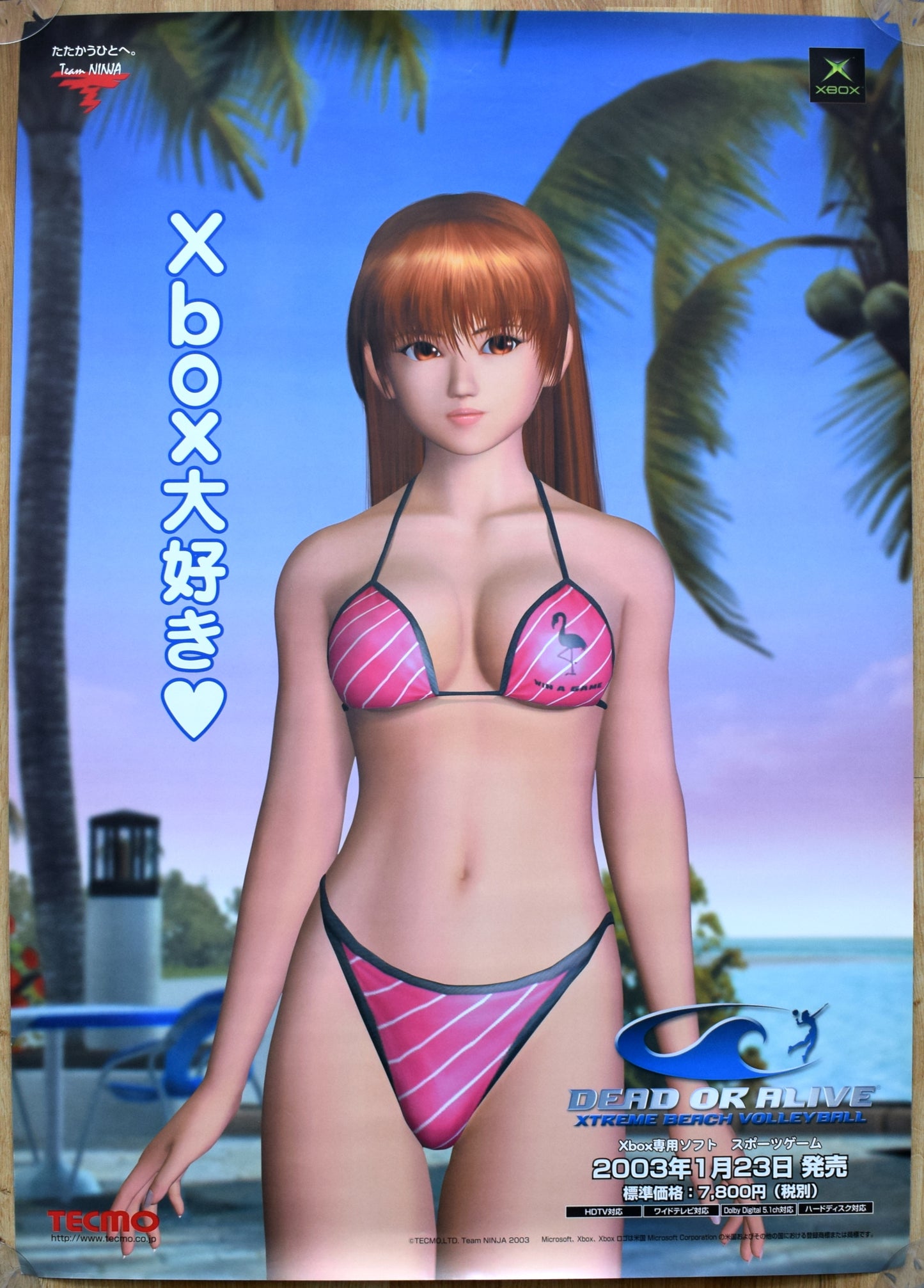 Dead or Alive: Xtreme Beach Volleyball (B2) Japanese Promotional Poster #1