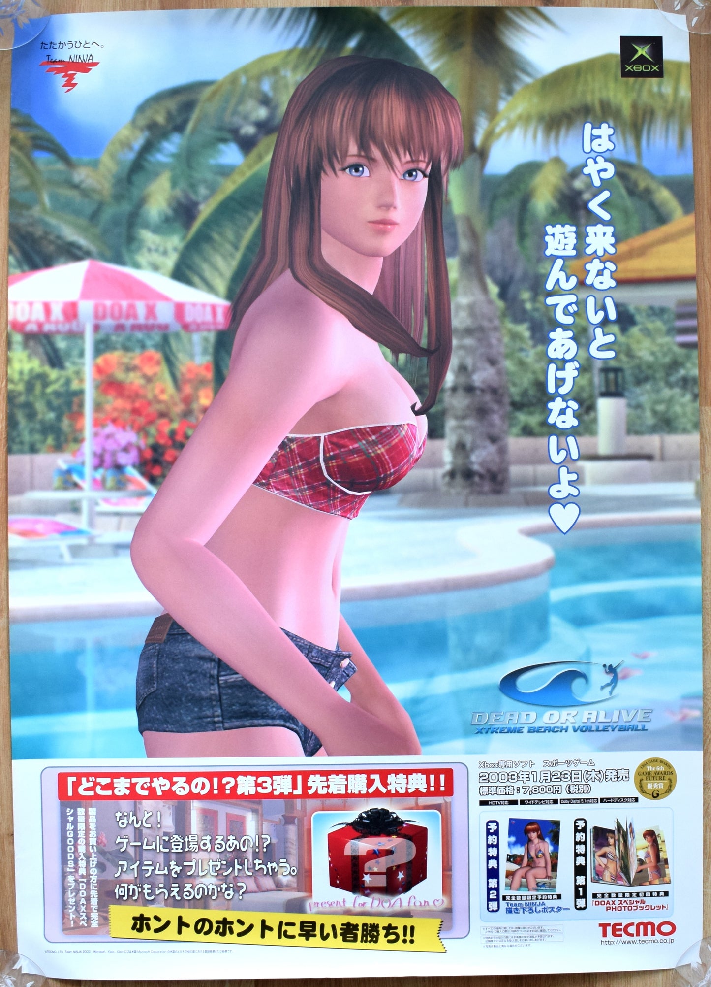 Dead or Alive: Xtreme Beach Volleyball (B2) Japanese Promotional Poster #2