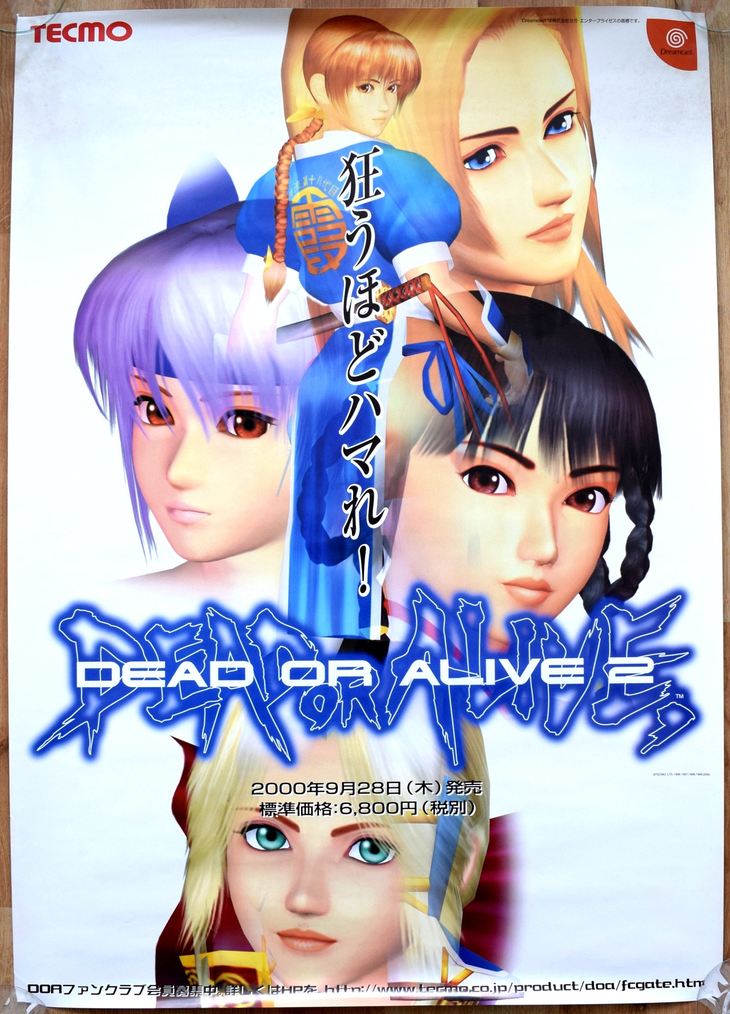 Dead or Alive 2 (B2) Japanese Promotional Poster