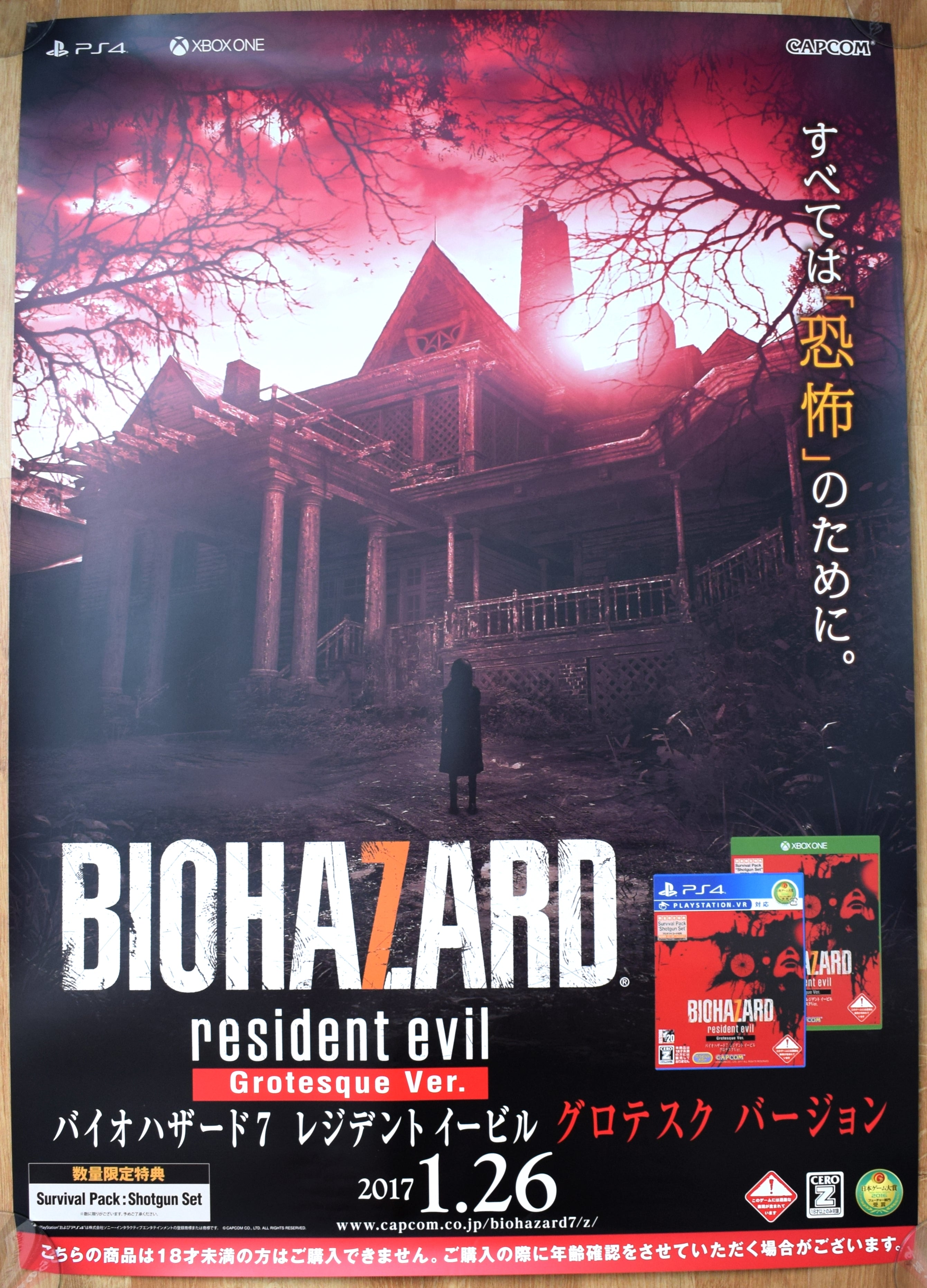 Resident Evil 7: Biohazard (B2) Japanese Promotional Poster #2 