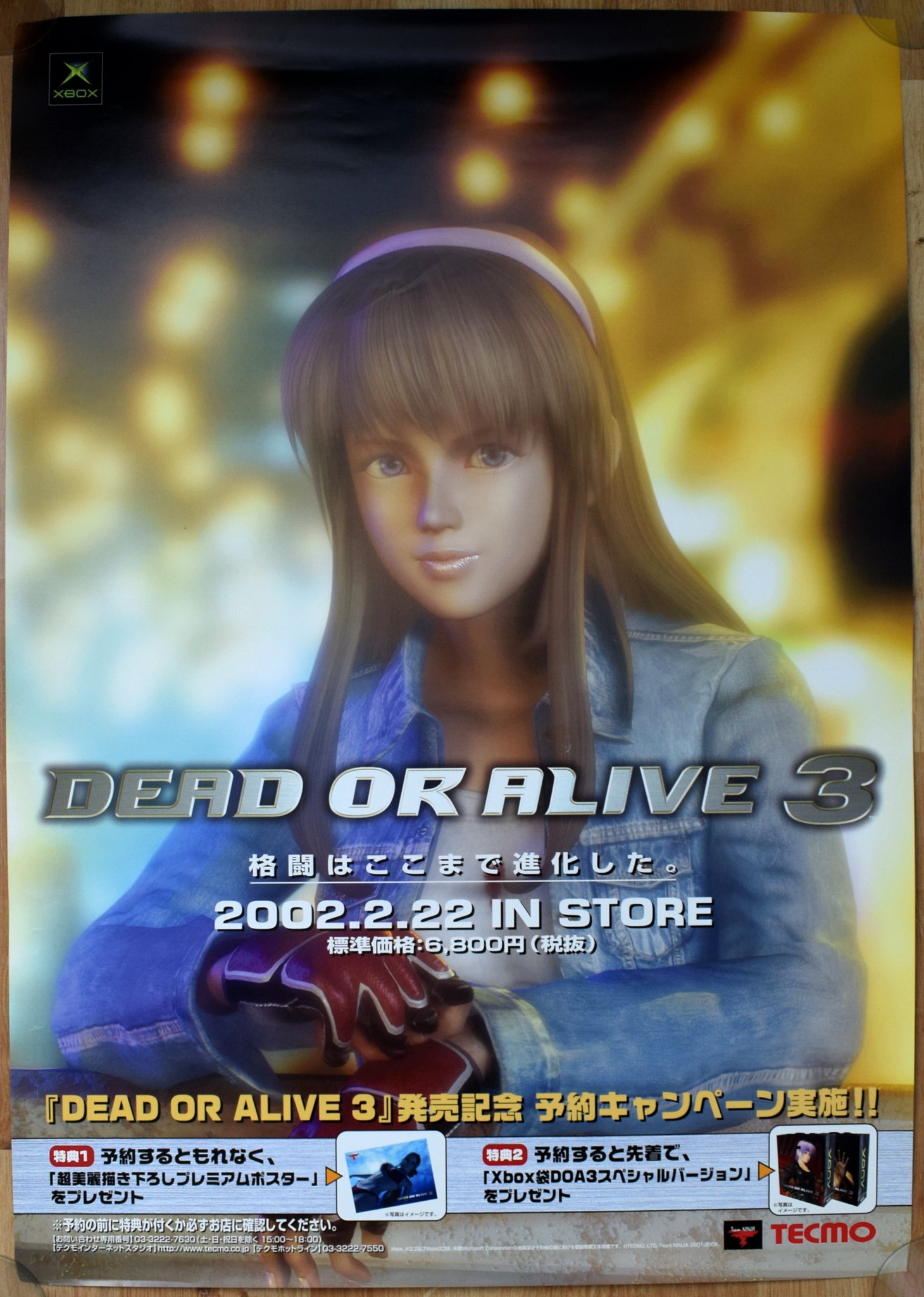Dead or Alive 3 (B2) Japanese Promotional Poster #1